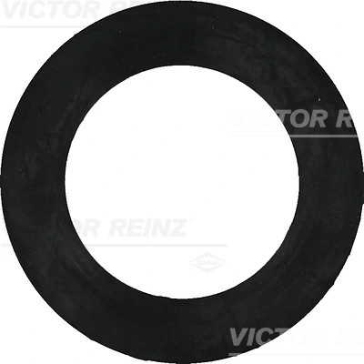 Seal Ring